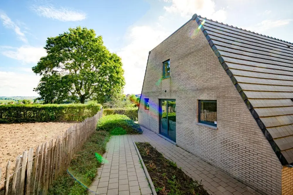 Foto van De Dwerggeus